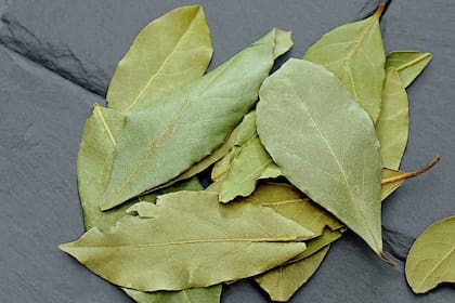 La hoja de laurel se suele agregar entera a las comidas (Foto Pexels)