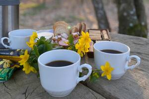 La hora perfecta para desayunar sería una hora y media después del amanecer (imagen ilustrativa)