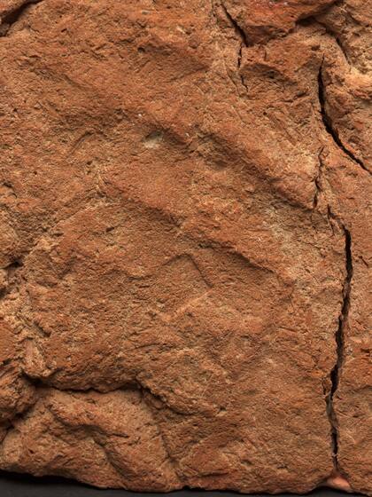 La huella de la palma de la mano completa pasó desapercibida para los expertos del museo hasta que, gracias a los preparativos para una próxima exposición, notaron el detalle