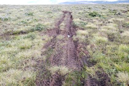 La huella de las 4x4