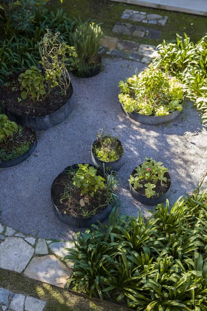 La huerta de Inés Fuseo, en canteros circulares.