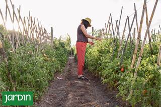 Un restaurante que se suma a la movida de tener su propia huerta, con prácticas sustentables ambientales y sociales