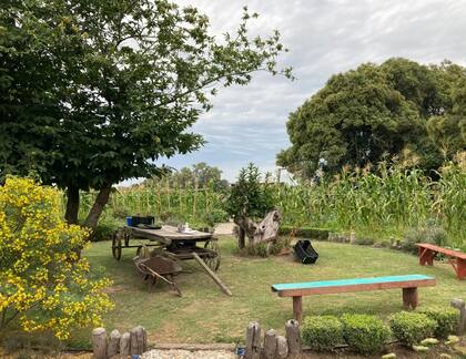 La huerta del espacio