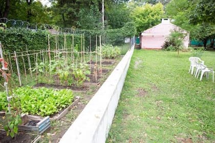 La huerta en la unidad 34.