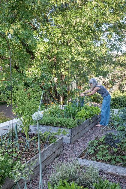 La huerta es el techo verde de la cocina y el lugar preferido de Laura, al que se accede a través de una escalera exterior. En los cajones elevados cultiva todo lo que consume en sus recetas, desde hierbas aromáticas hasta diferentes variedades de lechugas, flores comestibles, puerros, apio
