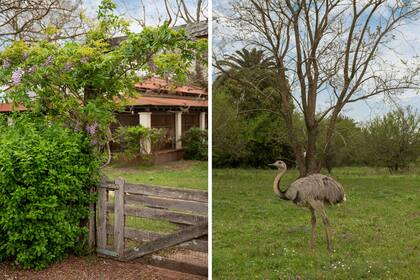 La huerta es la única fracción de la estancia donde se mantienen los alambrados.