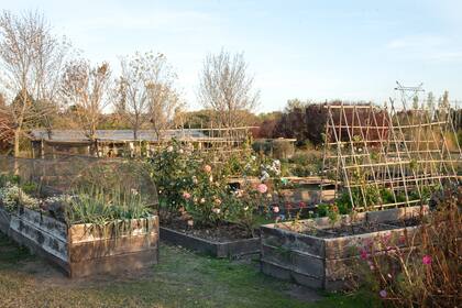 La huerta está diseñada en cajones y tiene armazones de hierro y alambre para evitar que los pájaros coman la producción.