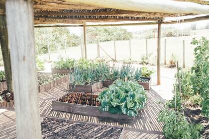 La huerta orgánica provee productos para el restaurant y para los vecinos, que pueden retirar vegetales frescos de estación para llevar a sus casas.