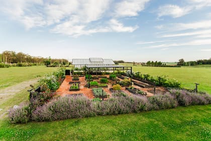 La huerta provee la cocina de la casa con fruta y verdura fresca y orgánica.