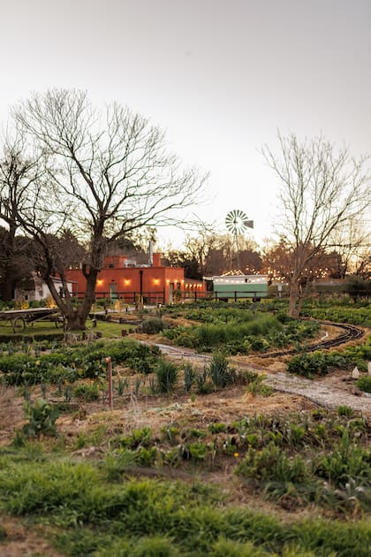 La huerta que abastece el proyecto