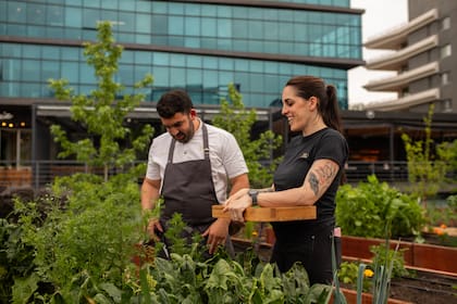 La huerta que se encuentra en el restaurante provee muchos ingredientes al restaurante.