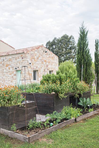 La huerta se planteó cercana a la casa en varios cajones de madera elevados y algunos más bajos. Allí se combinan hierbas aromáticas, flores comestibles y diferentes verduras de hoja y frutos de estación.