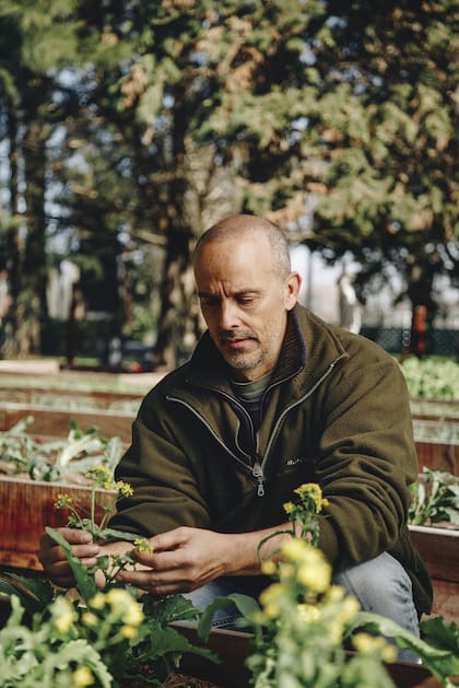 La huerta tiene alrededor de 700 metros cuadrados y empezó a producir en febrero de 2020.