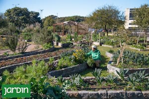 El Paseo Ambiental del Sur muestra que otro modelo urbano es posible