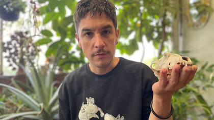 "La humanidad completa se comporta como piratas", aseguró Andrés Cota Hiriart