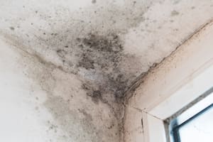 Cómo detectar humedad en las paredes con el uso de papel aluminio