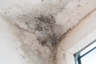 Cómo detectar humedad en las paredes con el uso de papel aluminio