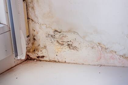 La humedad en las paredes es un problema que podrá disimularse pero es importante detectarlo