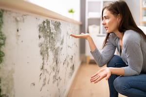 Cómo distinguir la humedad del salitre y de qué manera erradicarlos de tu casa