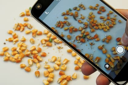 La red considera que "las oportunidades que ofrecen las nuevas tecnologías no están solo en usarlas, sino en ser accionistas de estas empresas que tienen el potencial de escalar rápidamente y alcanzar valuaciones importantes”