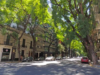 La icónica Avenida Pedro Goyena de Caballito