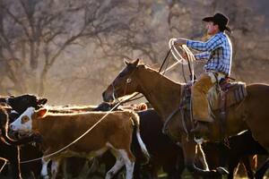 La idea del gobierno sería cuadruplicar el cupo arancelario para la carne de res argentina