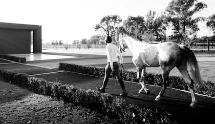 La idea es ofrecer un espacio donde el salto ecuestre argentino pueda desarrollarse con profesionalismo