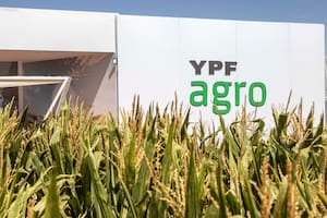 Por qué YPF quiere un socio para su negocio de agro y cómo fue el hecho “inesperado” para vender su parte en Profertil