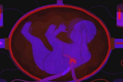 La idea es que el bebé se sienta cómodo dentro del útero, aunque no sea natural