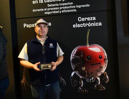 “La idea es que la fruta no salga con daño de la Argentina", dice el investigador