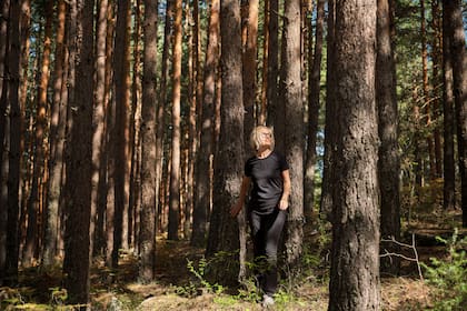 La idea no es salir de trekking sino realizar una caminata consciente y en plena conexión con el entorno natural