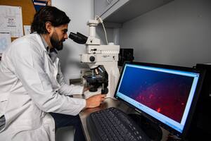 Conicet incorporará 820 nuevos cargos en la Carrera del Investigador Científico y Tecnológico
