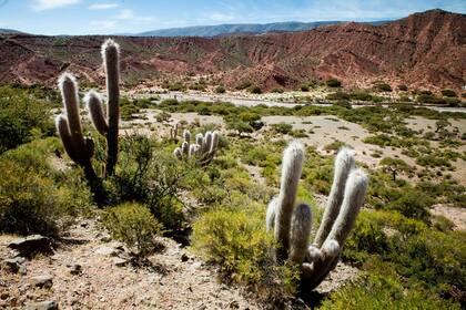 Las proximidades de Santa Catalina.