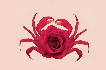 La ilusión óptica que promete revelar aspectos de tu personalidad.