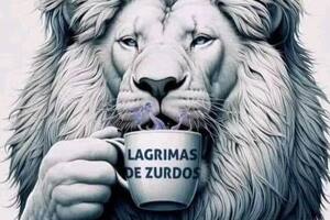 La ilustración que compartió Javier Milei