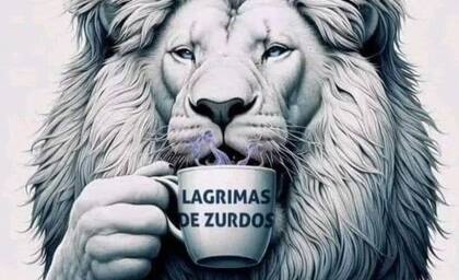 La ilustración que compartió Javier Milei