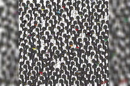 La imagen completa del desafío visual de los pingüinos y los gatos