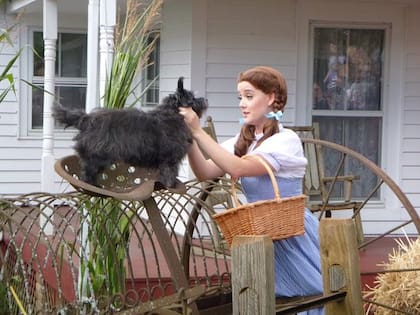 La imagen de Toto, la mascota elegida por los productores de El Mago de Oz