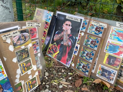 La imagen del argentino Castro es una de las más veneradas y buscadas por los hinchas de Bolonia que se acercan a la puerta del predio de entrenamiento