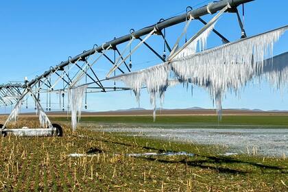 La imagen del equipo de riego con agujas congeladas de agua
