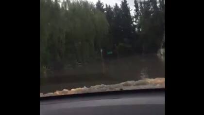 La imagen desde el auto