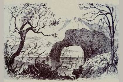 La imagen esconde 10 animales (Foto: New York Post)