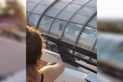 La imagen que se ve causó escalofríos (Captura Twitter @agusTdacol7)