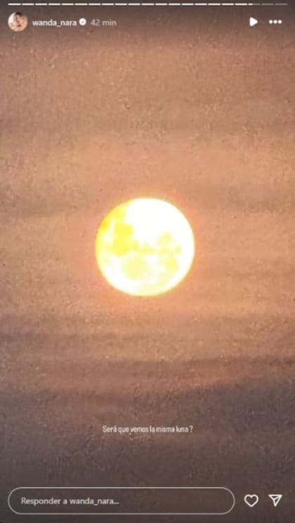 La imagen que subió Wanda Nara tras la publicación de Vicuña (Foto: Instagram @wanda_nara)