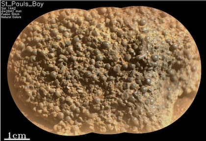 La imagen revela cientos de extraños objetos esféricos que componen la roca (Foto: Gentileza NASA)
