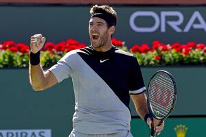 Del Potro derrotó a Raonic y jugará con Federer la final de Indian Wells