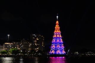 El nuevo árbol gigante en uno de los destinos preferidos por los argentinos