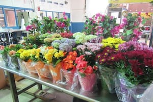 La importación de flores desde México se incrementa para el Día de las Madres y otras celebraciones como el 14 de febrero