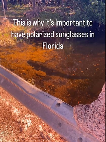 La importancia de utilizar anteojos de sol polarizados en Florida