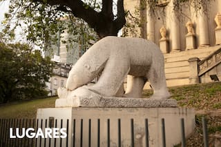 La curiosa historia del oso polar en Córdoba: por qué causó revuelo y se paseó por toda la ciudad